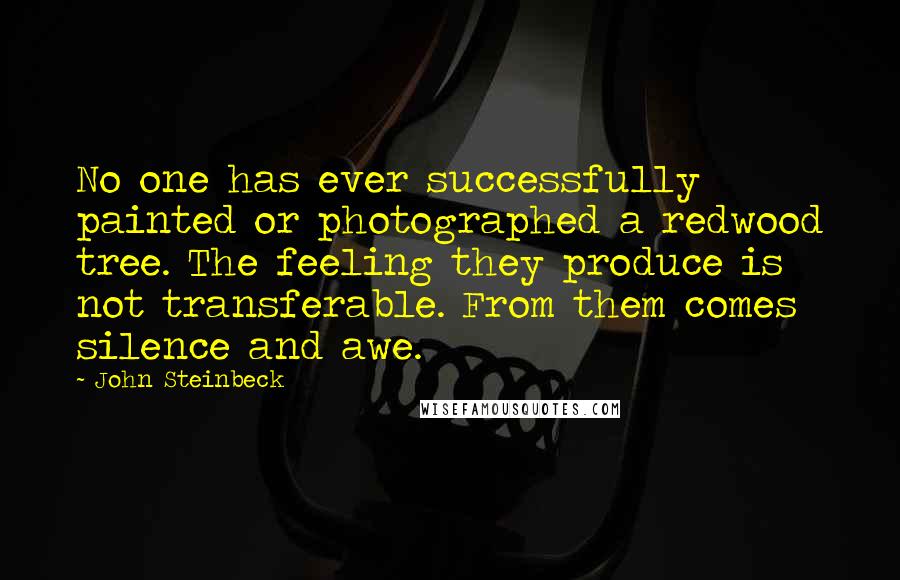 John Steinbeck Quotes: No one has ever successfully painted or photographed a redwood tree. The feeling they produce is not transferable. From them comes silence and awe.