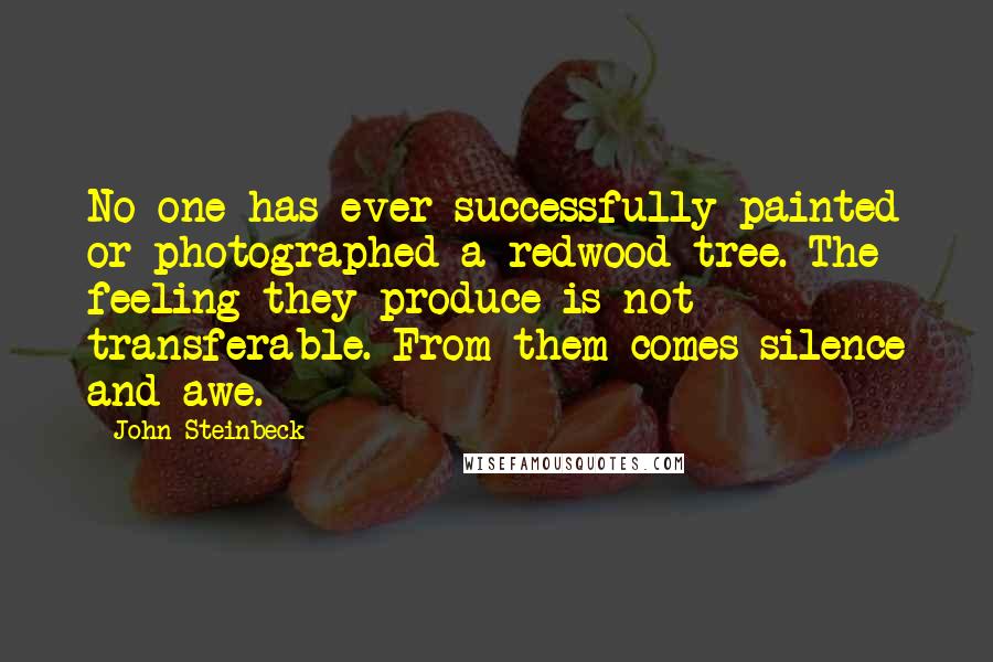 John Steinbeck Quotes: No one has ever successfully painted or photographed a redwood tree. The feeling they produce is not transferable. From them comes silence and awe.