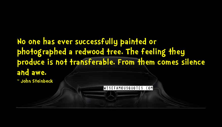 John Steinbeck Quotes: No one has ever successfully painted or photographed a redwood tree. The feeling they produce is not transferable. From them comes silence and awe.