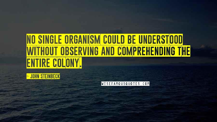 John Steinbeck Quotes: No single organism could be understood without observing and comprehending the entire colony.