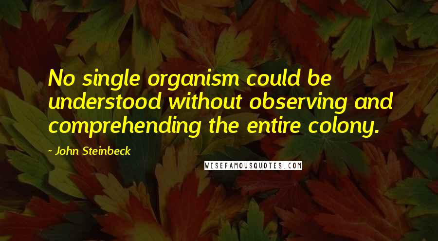 John Steinbeck Quotes: No single organism could be understood without observing and comprehending the entire colony.