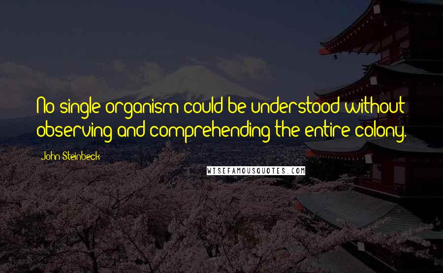 John Steinbeck Quotes: No single organism could be understood without observing and comprehending the entire colony.