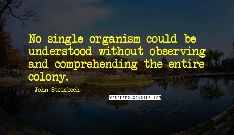 John Steinbeck Quotes: No single organism could be understood without observing and comprehending the entire colony.