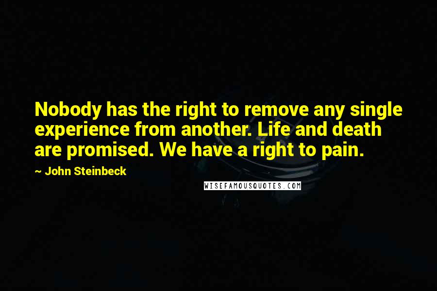 John Steinbeck Quotes: Nobody has the right to remove any single experience from another. Life and death are promised. We have a right to pain.