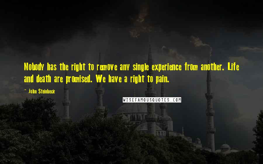 John Steinbeck Quotes: Nobody has the right to remove any single experience from another. Life and death are promised. We have a right to pain.