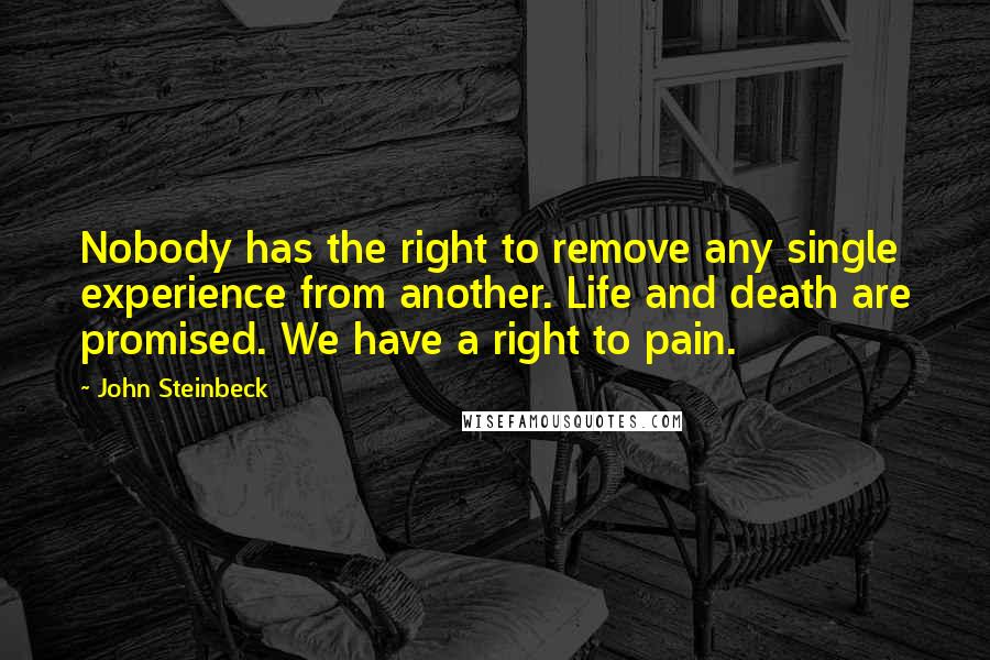 John Steinbeck Quotes: Nobody has the right to remove any single experience from another. Life and death are promised. We have a right to pain.