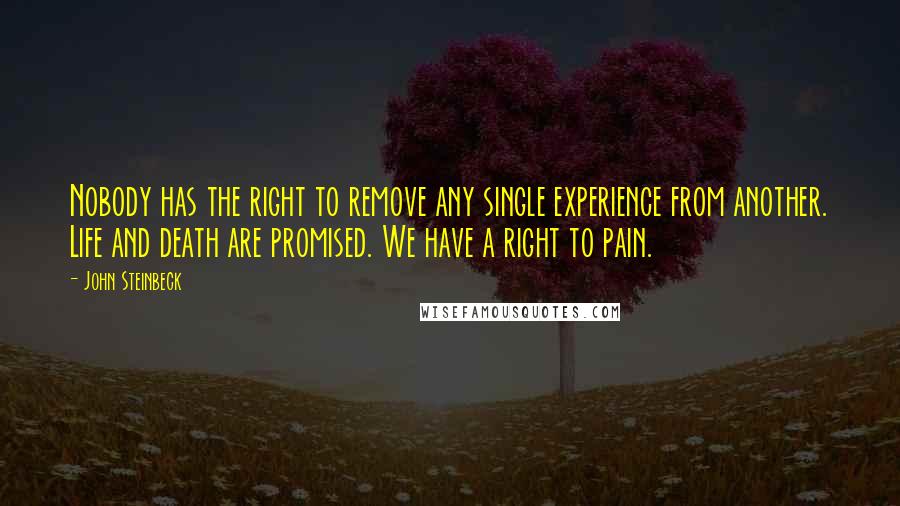 John Steinbeck Quotes: Nobody has the right to remove any single experience from another. Life and death are promised. We have a right to pain.