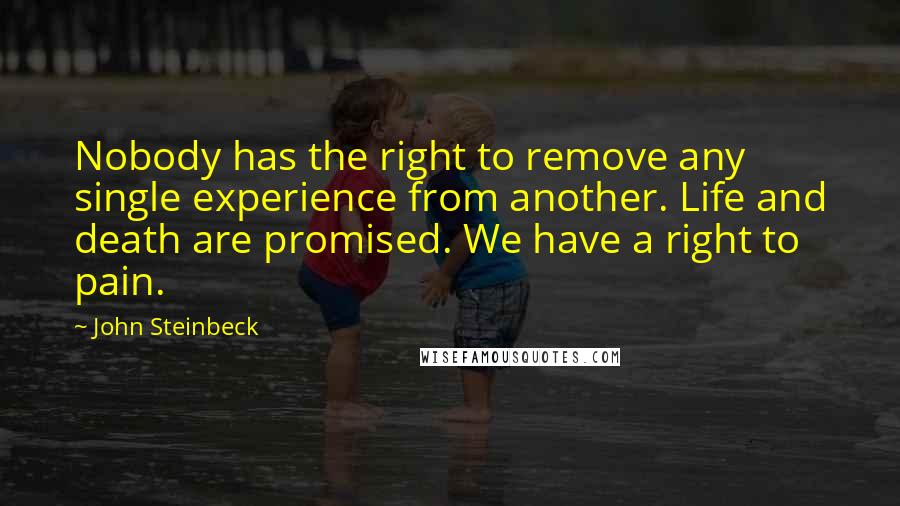 John Steinbeck Quotes: Nobody has the right to remove any single experience from another. Life and death are promised. We have a right to pain.