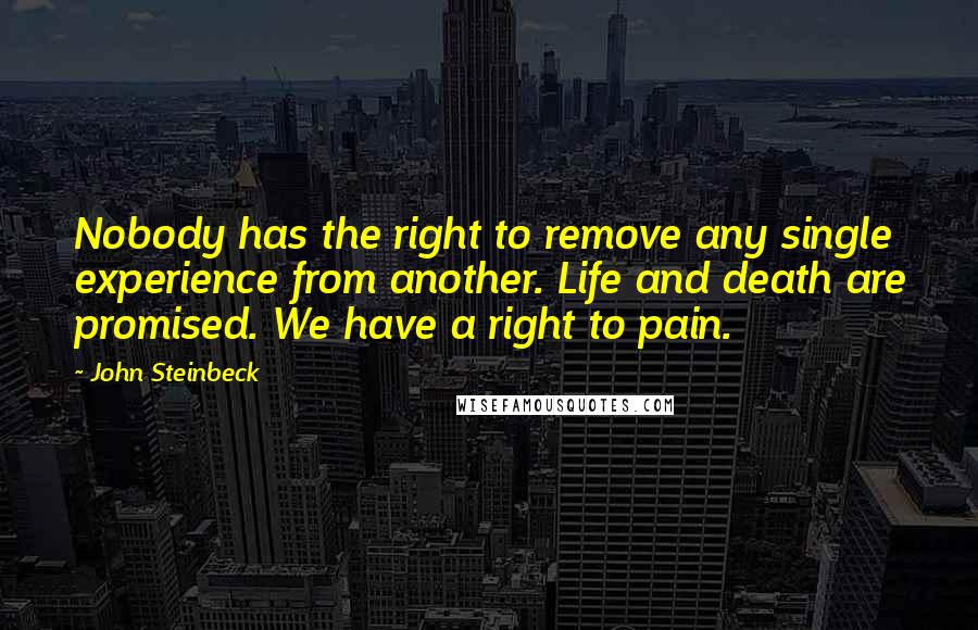 John Steinbeck Quotes: Nobody has the right to remove any single experience from another. Life and death are promised. We have a right to pain.