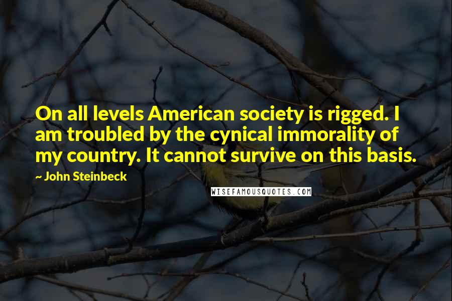 John Steinbeck Quotes: On all levels American society is rigged. I am troubled by the cynical immorality of my country. It cannot survive on this basis.