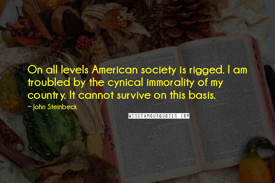 John Steinbeck Quotes: On all levels American society is rigged. I am troubled by the cynical immorality of my country. It cannot survive on this basis.