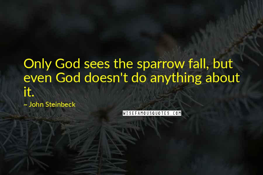 John Steinbeck Quotes: Only God sees the sparrow fall, but even God doesn't do anything about it.