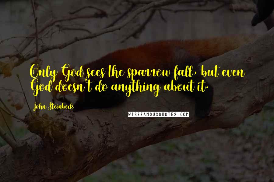 John Steinbeck Quotes: Only God sees the sparrow fall, but even God doesn't do anything about it.