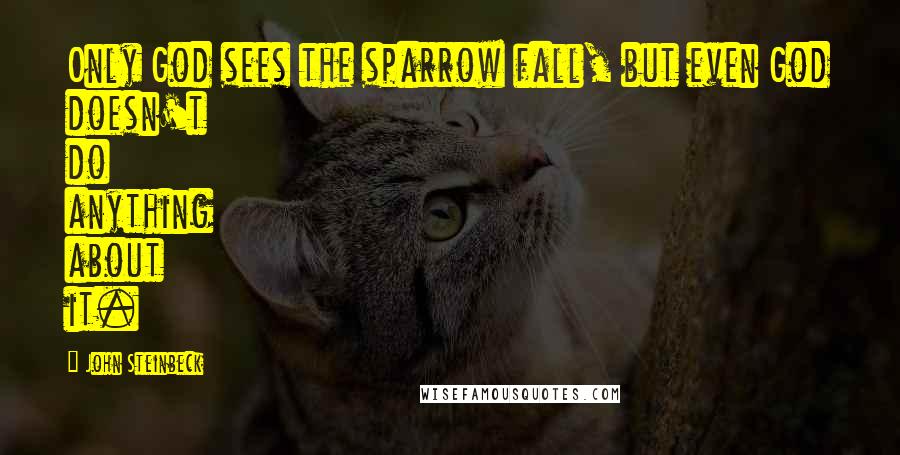 John Steinbeck Quotes: Only God sees the sparrow fall, but even God doesn't do anything about it.