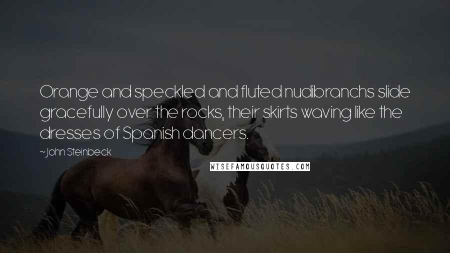 John Steinbeck Quotes: Orange and speckled and fluted nudibranchs slide gracefully over the rocks, their skirts waving like the dresses of Spanish dancers.