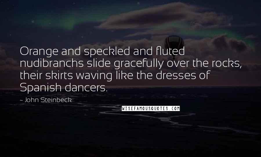 John Steinbeck Quotes: Orange and speckled and fluted nudibranchs slide gracefully over the rocks, their skirts waving like the dresses of Spanish dancers.