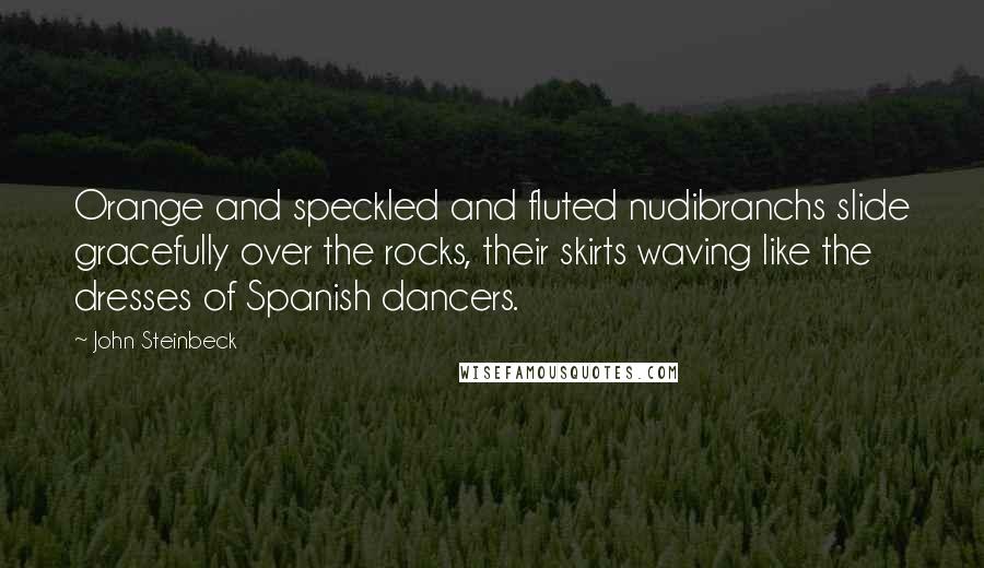 John Steinbeck Quotes: Orange and speckled and fluted nudibranchs slide gracefully over the rocks, their skirts waving like the dresses of Spanish dancers.