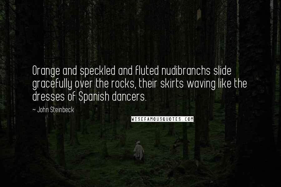 John Steinbeck Quotes: Orange and speckled and fluted nudibranchs slide gracefully over the rocks, their skirts waving like the dresses of Spanish dancers.