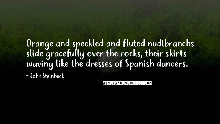 John Steinbeck Quotes: Orange and speckled and fluted nudibranchs slide gracefully over the rocks, their skirts waving like the dresses of Spanish dancers.