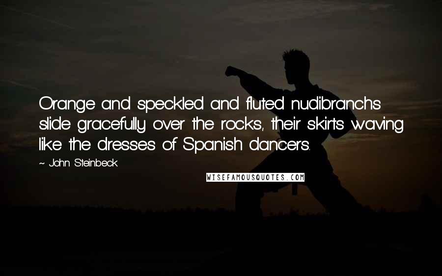 John Steinbeck Quotes: Orange and speckled and fluted nudibranchs slide gracefully over the rocks, their skirts waving like the dresses of Spanish dancers.