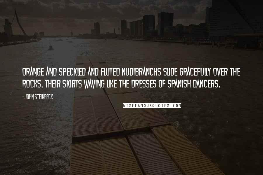John Steinbeck Quotes: Orange and speckled and fluted nudibranchs slide gracefully over the rocks, their skirts waving like the dresses of Spanish dancers.