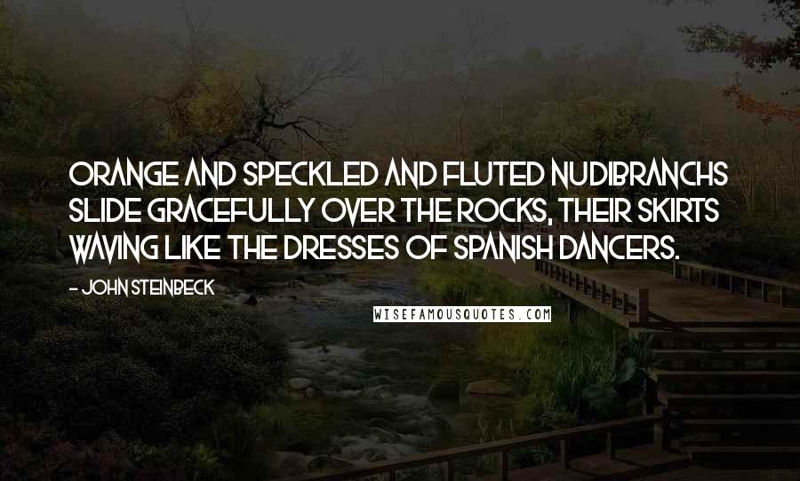 John Steinbeck Quotes: Orange and speckled and fluted nudibranchs slide gracefully over the rocks, their skirts waving like the dresses of Spanish dancers.
