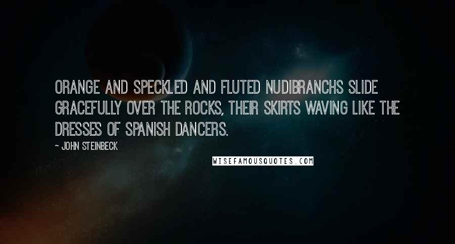 John Steinbeck Quotes: Orange and speckled and fluted nudibranchs slide gracefully over the rocks, their skirts waving like the dresses of Spanish dancers.