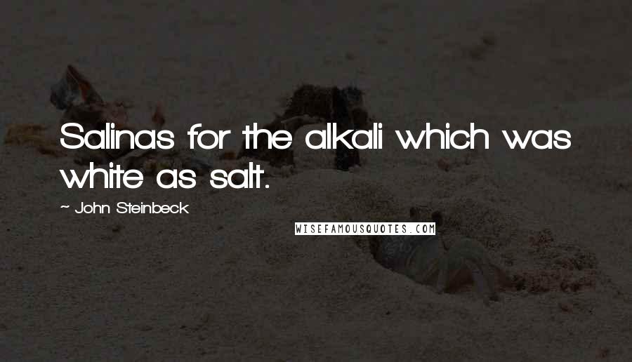John Steinbeck Quotes: Salinas for the alkali which was white as salt.
