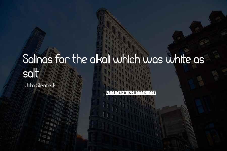 John Steinbeck Quotes: Salinas for the alkali which was white as salt.