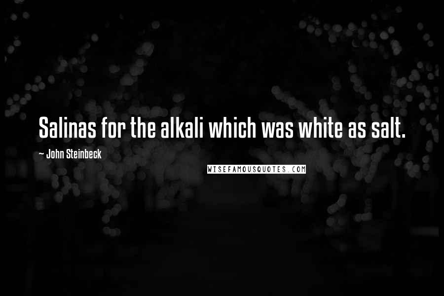 John Steinbeck Quotes: Salinas for the alkali which was white as salt.