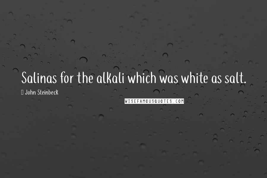 John Steinbeck Quotes: Salinas for the alkali which was white as salt.