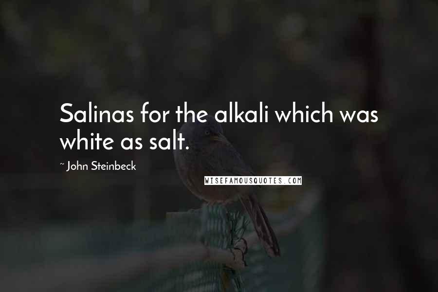 John Steinbeck Quotes: Salinas for the alkali which was white as salt.