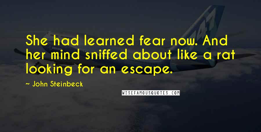 John Steinbeck Quotes: She had learned fear now. And her mind sniffed about like a rat looking for an escape.