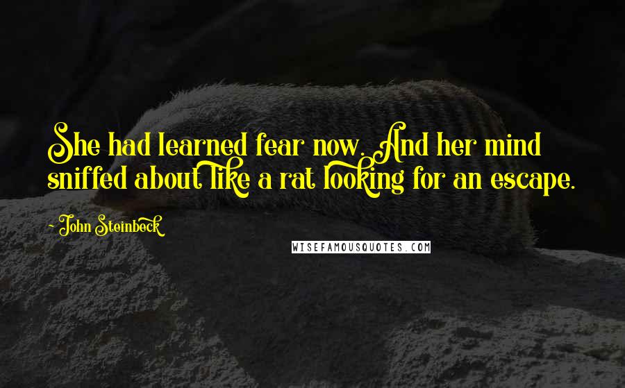 John Steinbeck Quotes: She had learned fear now. And her mind sniffed about like a rat looking for an escape.