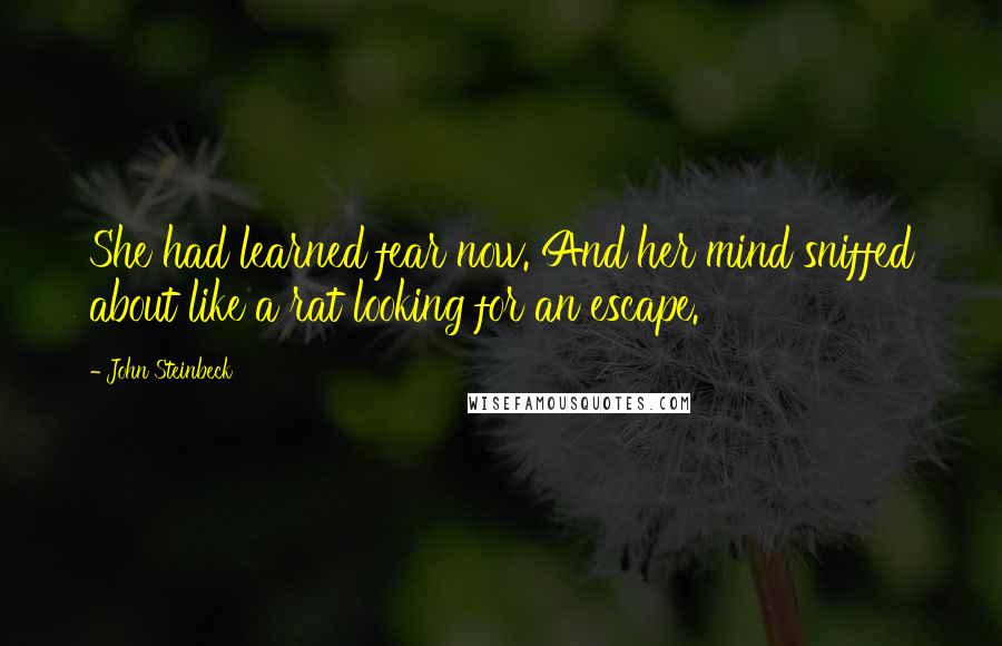 John Steinbeck Quotes: She had learned fear now. And her mind sniffed about like a rat looking for an escape.