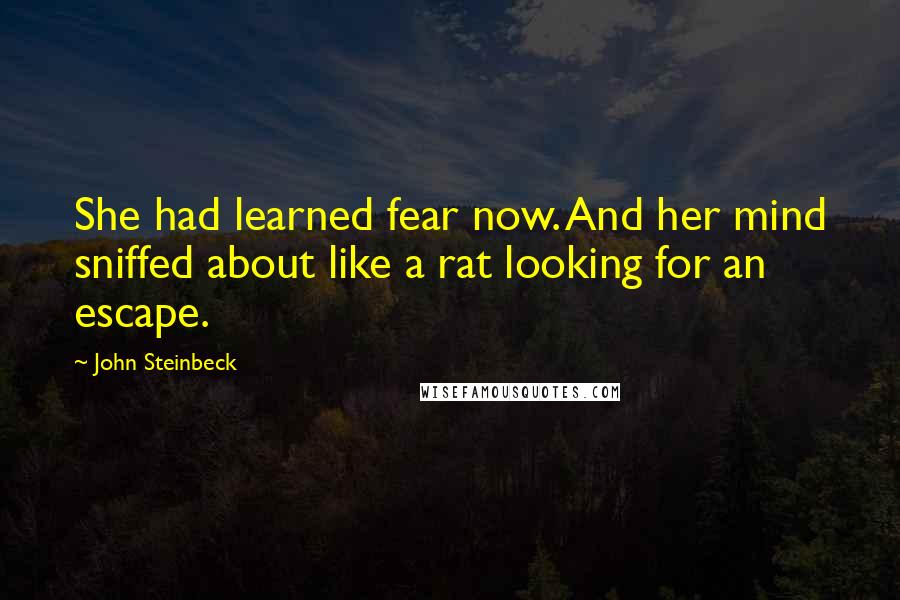 John Steinbeck Quotes: She had learned fear now. And her mind sniffed about like a rat looking for an escape.