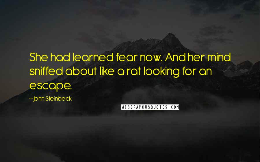 John Steinbeck Quotes: She had learned fear now. And her mind sniffed about like a rat looking for an escape.