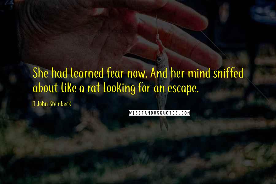 John Steinbeck Quotes: She had learned fear now. And her mind sniffed about like a rat looking for an escape.