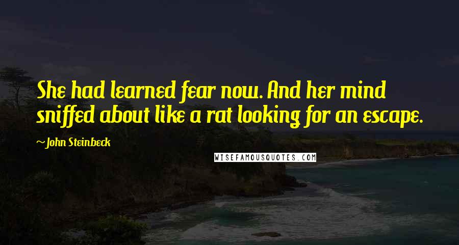 John Steinbeck Quotes: She had learned fear now. And her mind sniffed about like a rat looking for an escape.