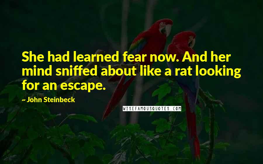 John Steinbeck Quotes: She had learned fear now. And her mind sniffed about like a rat looking for an escape.