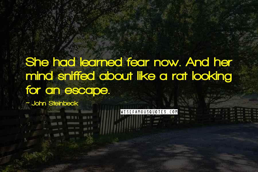 John Steinbeck Quotes: She had learned fear now. And her mind sniffed about like a rat looking for an escape.