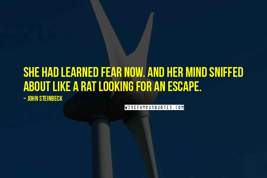 John Steinbeck Quotes: She had learned fear now. And her mind sniffed about like a rat looking for an escape.