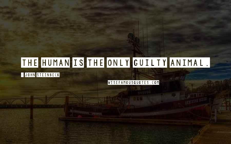 John Steinbeck Quotes: The human is the only guilty animal.