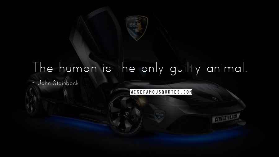 John Steinbeck Quotes: The human is the only guilty animal.