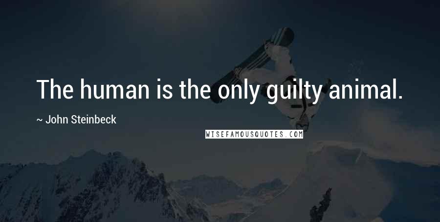 John Steinbeck Quotes: The human is the only guilty animal.