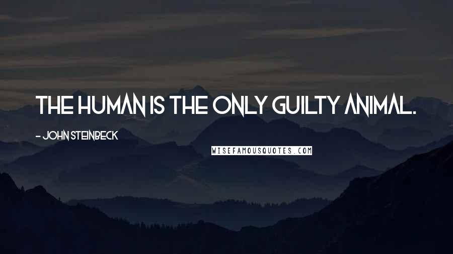 John Steinbeck Quotes: The human is the only guilty animal.