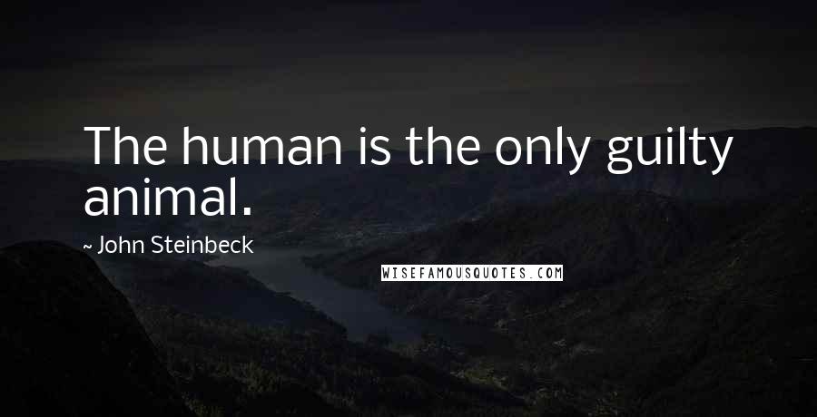 John Steinbeck Quotes: The human is the only guilty animal.