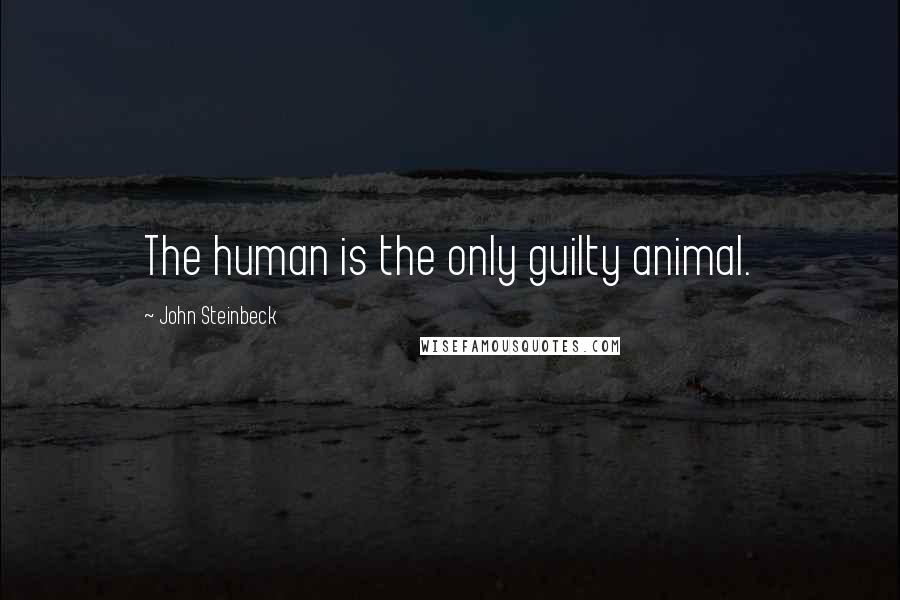 John Steinbeck Quotes: The human is the only guilty animal.