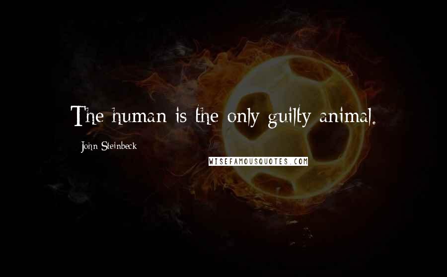 John Steinbeck Quotes: The human is the only guilty animal.