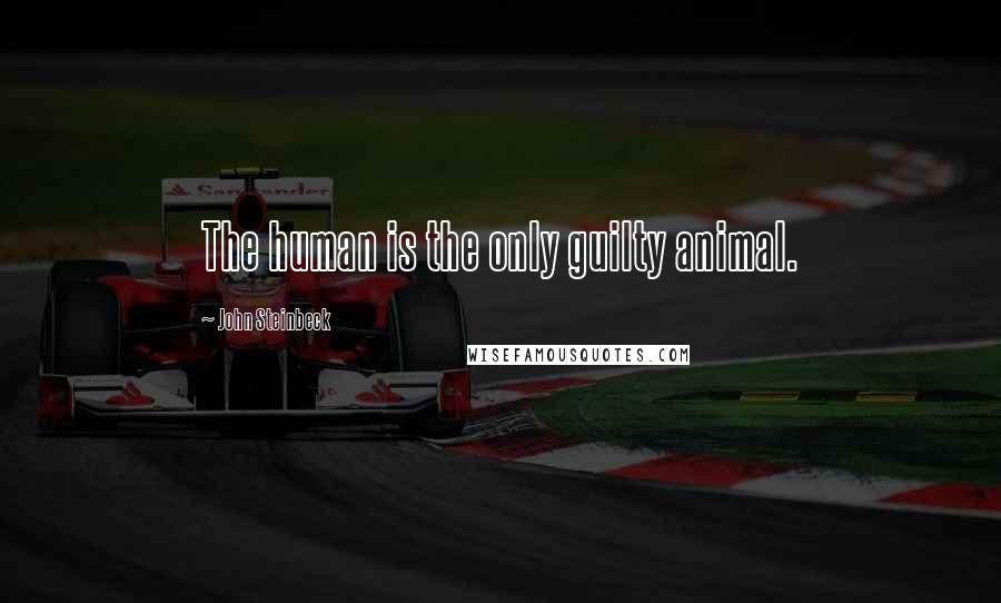 John Steinbeck Quotes: The human is the only guilty animal.